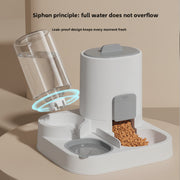 Pet feeder with water dispenser on a gray background