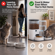 PAWLY™ Automatic Cat Feeder and Water Dispenser